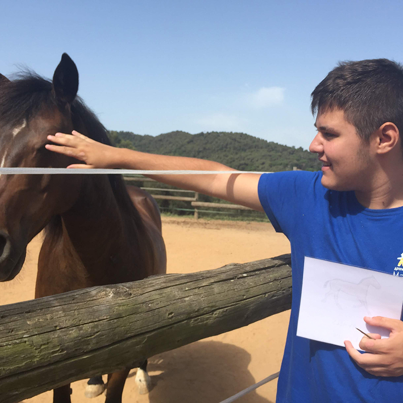 El Proyecto EVI y el contacto con animales